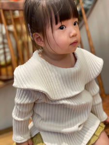 Big Collar Top